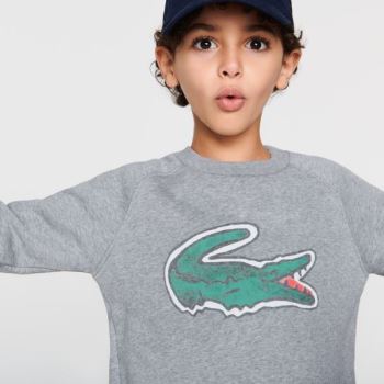 Lacoste Crocodile Graphic Fleece Sweatshirt Grå | oxRYOUsS