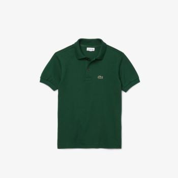 Lacoste Petit Piqué Polo Grønn | P6HC33OU