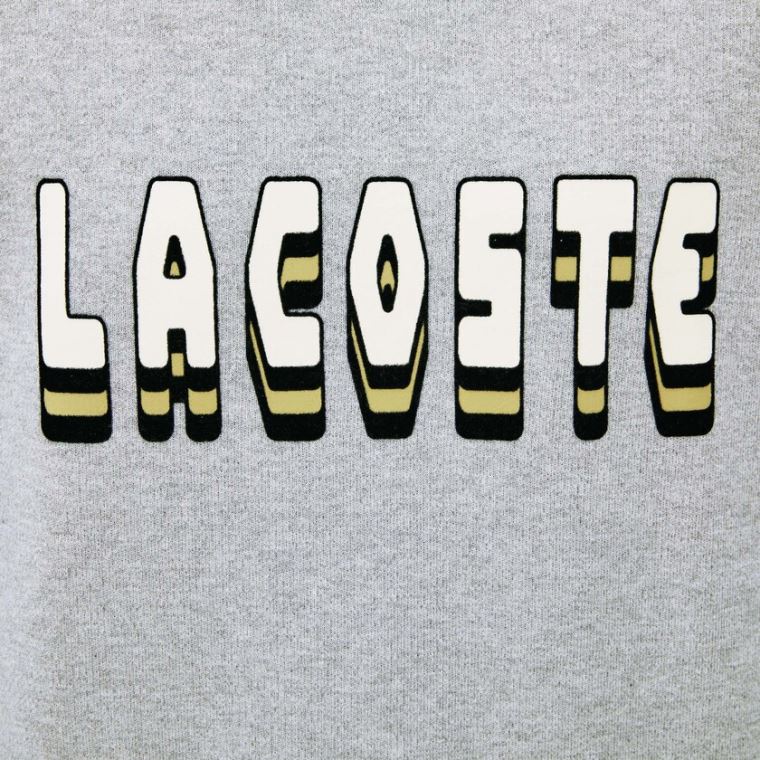 Lacoste 3D-Lettering Crewneck Bomull Blend Genser Grå | 5hTeqbcO