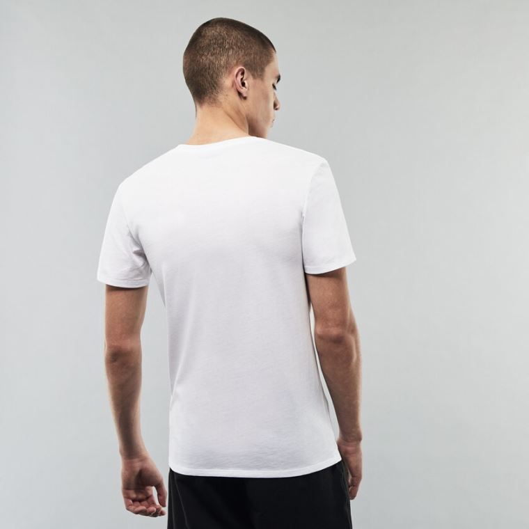 Lacoste 3 Pack of Plain T-Shirts Hvite | embjNhTS