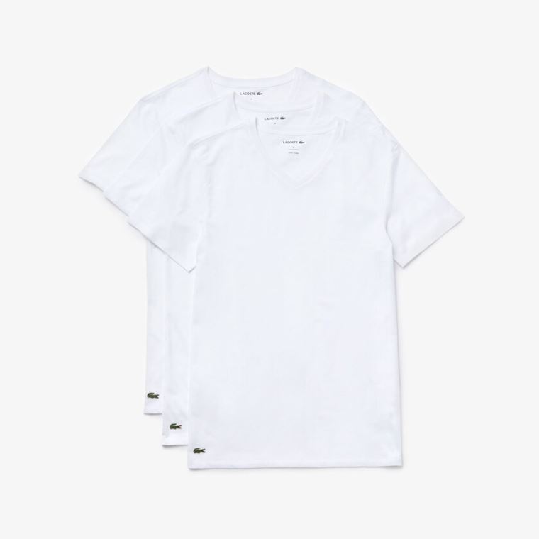 Lacoste 3 Pack of Plain T-Shirts Hvite | embjNhTS