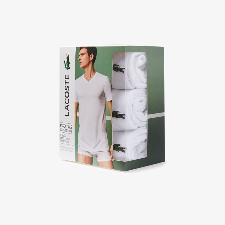 Lacoste 3 Pack of Plain T-Shirts Hvite | embjNhTS