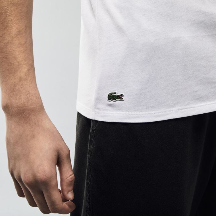 Lacoste 3 Pack of Plain T-Shirts Hvite | embjNhTS