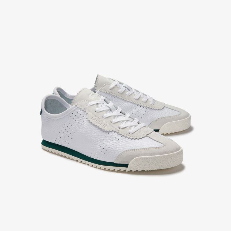 Lacoste Ascenta Lær and Semsket Skinn Sneakers Hvite | tpJYCtaL