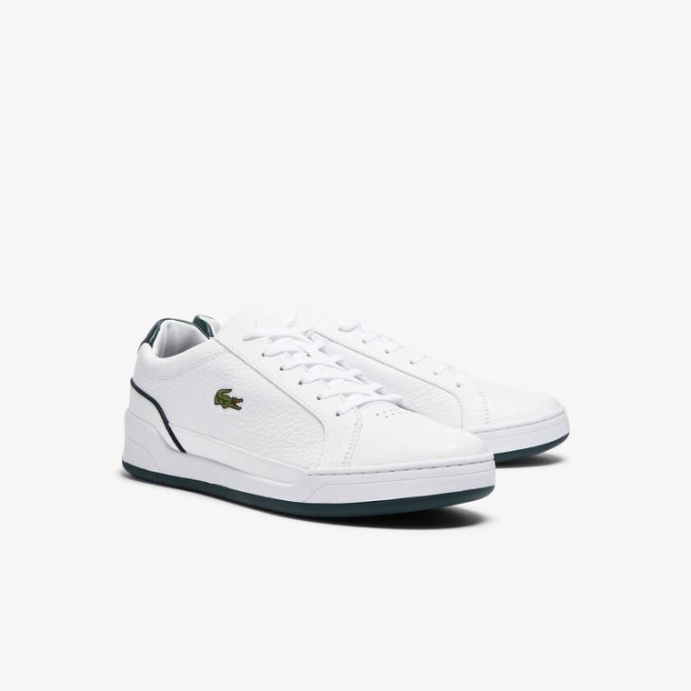 Lacoste Challenge Lær Sneakers Hvite | GdPCC27o