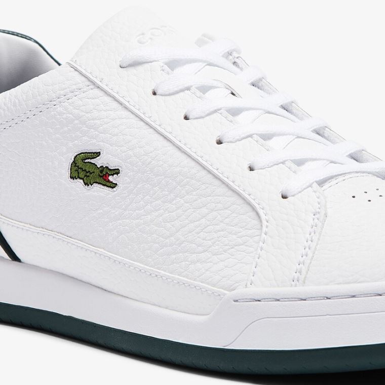 Lacoste Challenge Lær Sneakers Hvite | GdPCC27o