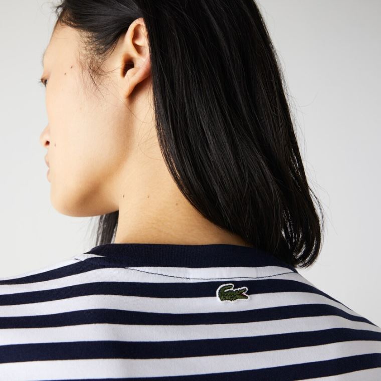 Lacoste Crew Neck Branded Striped Bomull T-shirt Marineblå Blå Hvite | S8DuiTQU