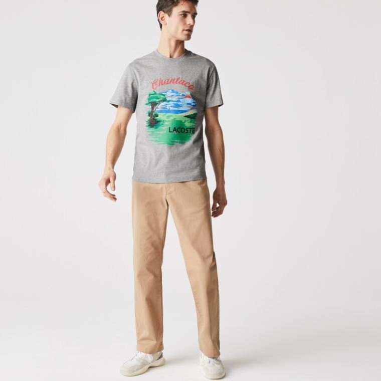 Lacoste Crew Neck Landscape Print Bomull T-shirt Grå Rød | 7QadsgFu