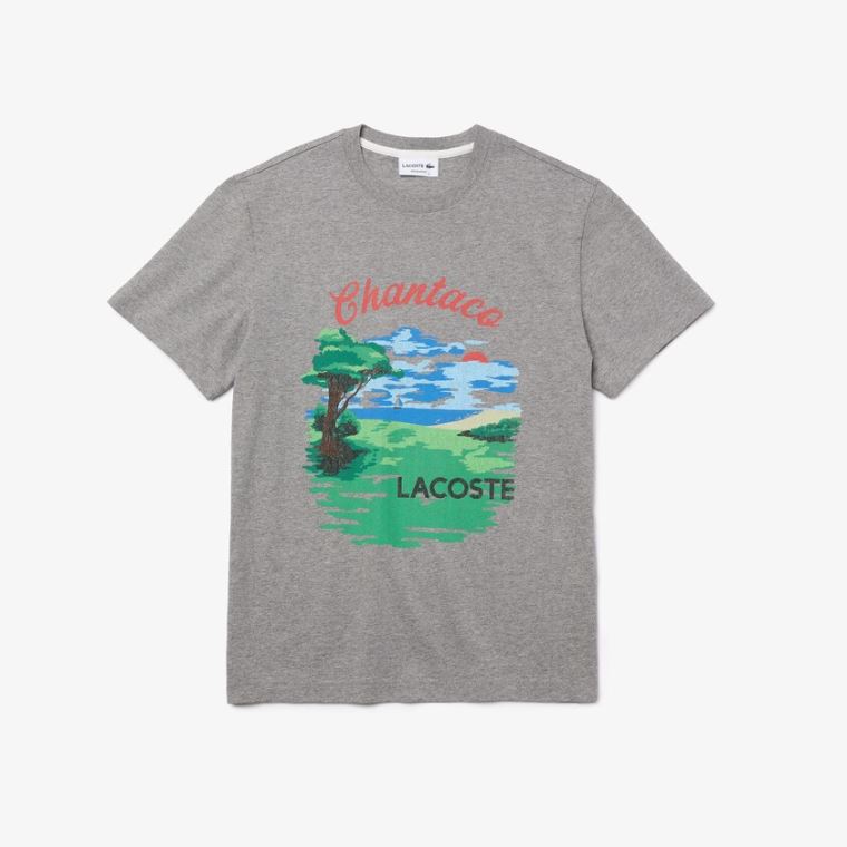 Lacoste Crew Neck Landscape Print Bomull T-shirt Grå Rød | 7QadsgFu