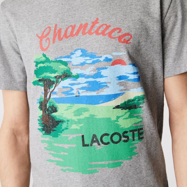 Lacoste Crew Neck Landscape Print Bomull T-shirt Grå Rød | 7QadsgFu