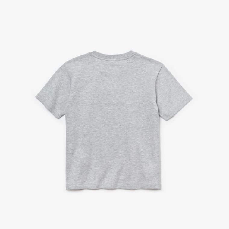 Lacoste Crew Neck Two-Tone Band Bomull T-shirt Grå Hvite Marineblå Blå | iEKssfsX