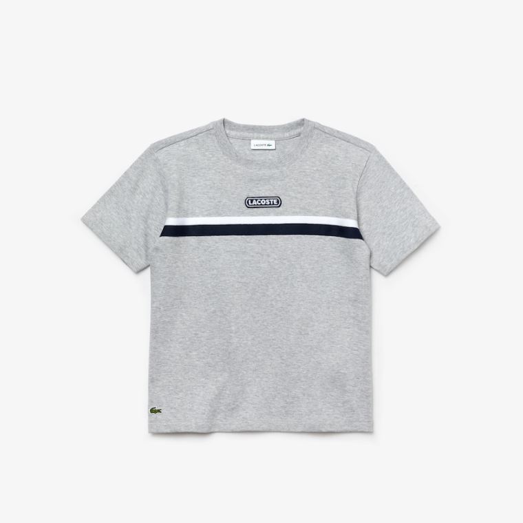 Lacoste Crew Neck Two-Tone Band Bomull T-shirt Grå Hvite Marineblå Blå | iEKssfsX