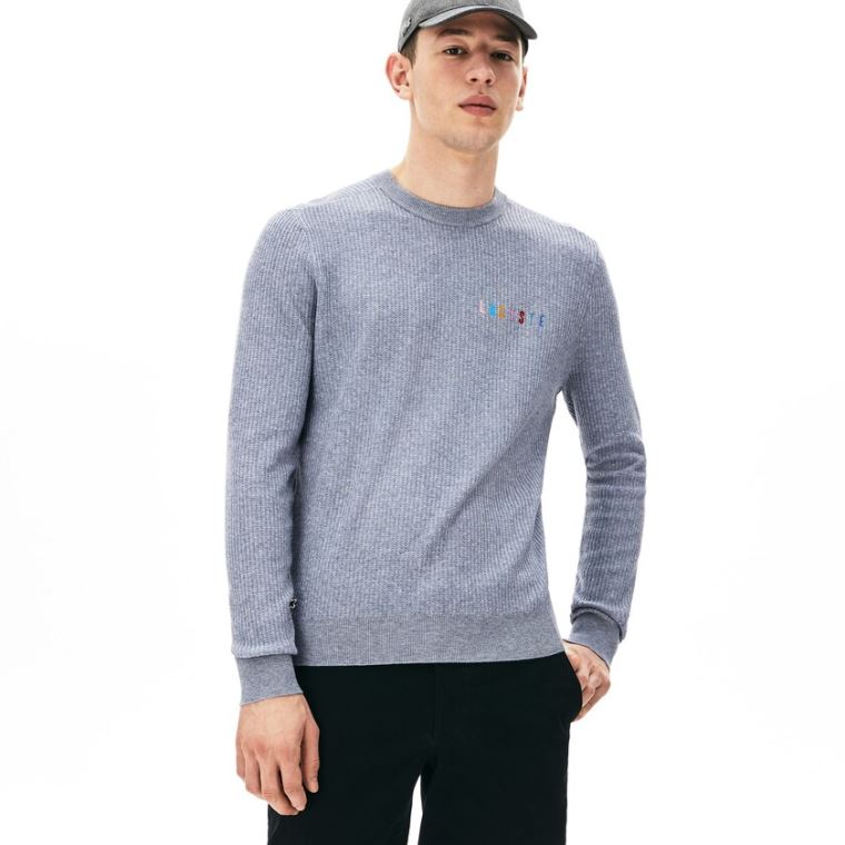 Lacoste Crewneck Embroidered Bomull Blend Genser Grå | mQPSe6JW