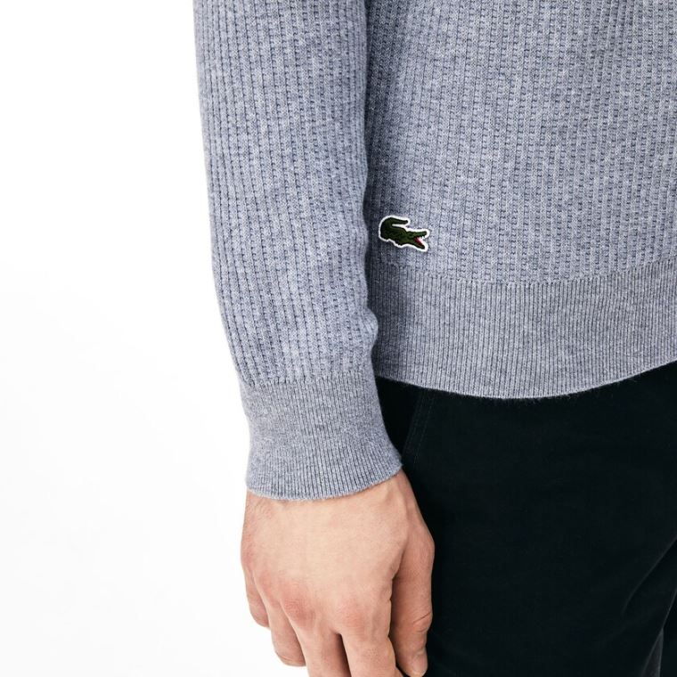 Lacoste Crewneck Embroidered Bomull Blend Genser Grå | mQPSe6JW