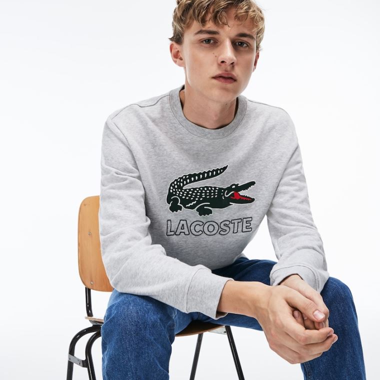 Lacoste Graphic Croc Sweatshirt Grå | 4ScbV6R4