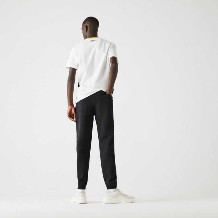 Lacoste Jogging Pants With Badge Grå | I5Exx6GP