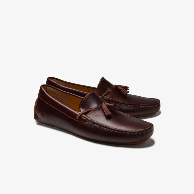 Lacoste Kjoler Piloter Tassel Loafer Brune Brune | Cv6M0p3s