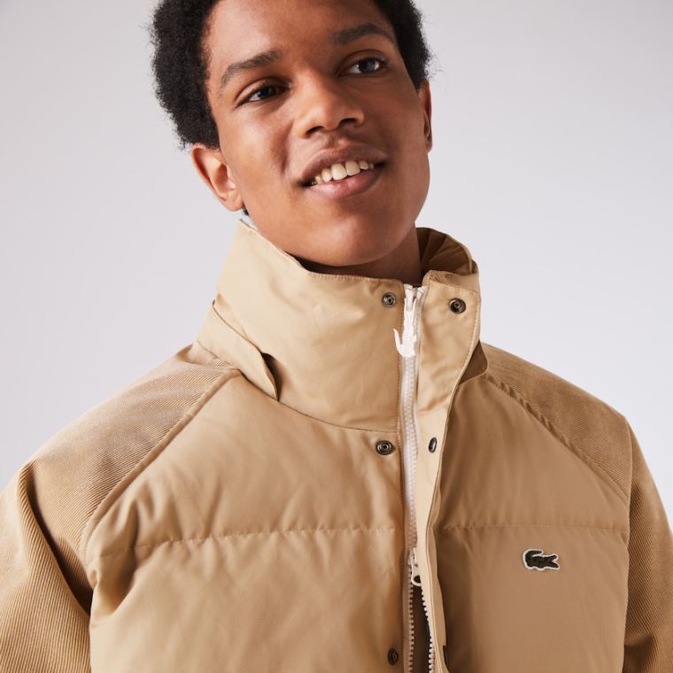 Lacoste LIVE Hette Kort Jacket Beige | QCLt2957