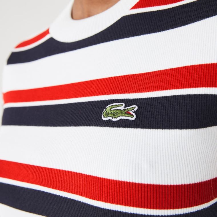 Lacoste LIVE Striped Bomull Ribbed T-Shirt Kjoler Hvite Marineblå Blå Rød | Lhe2P17c