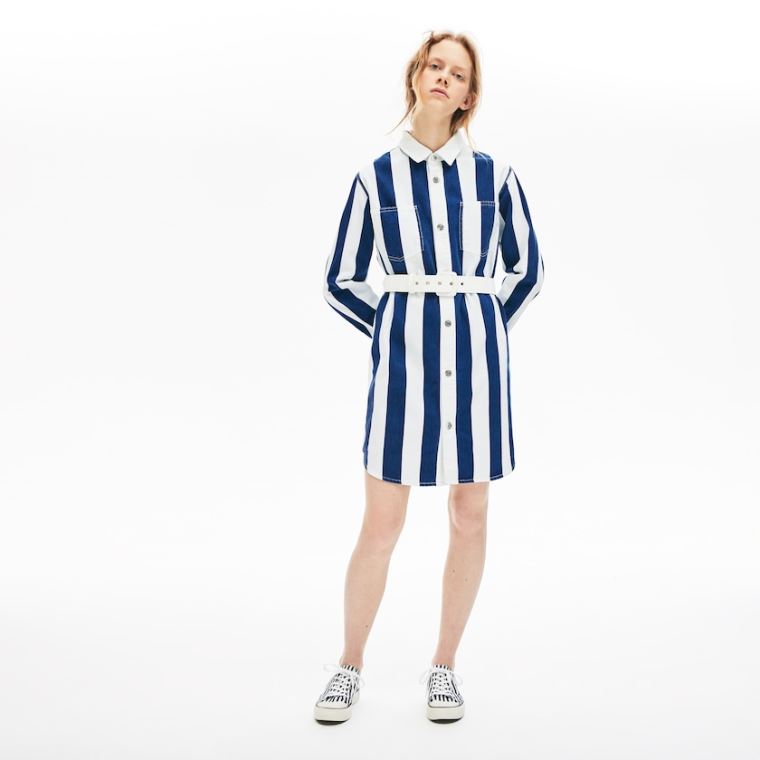 Lacoste LIVE Striped Bomull Shirtdress Hvite Marineblå Blå | P228LF71