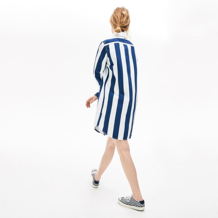 Lacoste LIVE Striped Bomull Shirtdress Hvite Marineblå Blå | P228LF71