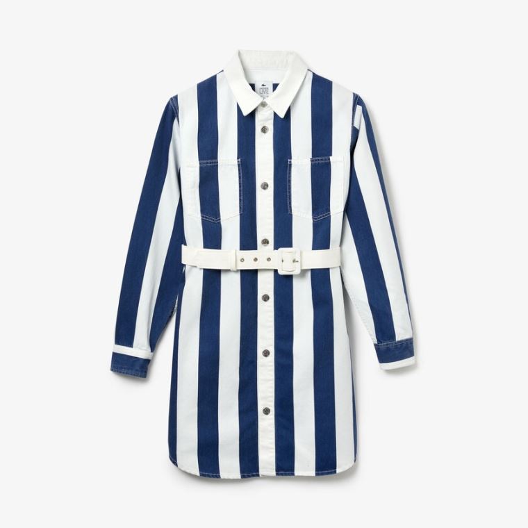 Lacoste LIVE Striped Bomull Shirtdress Hvite Marineblå Blå | P228LF71