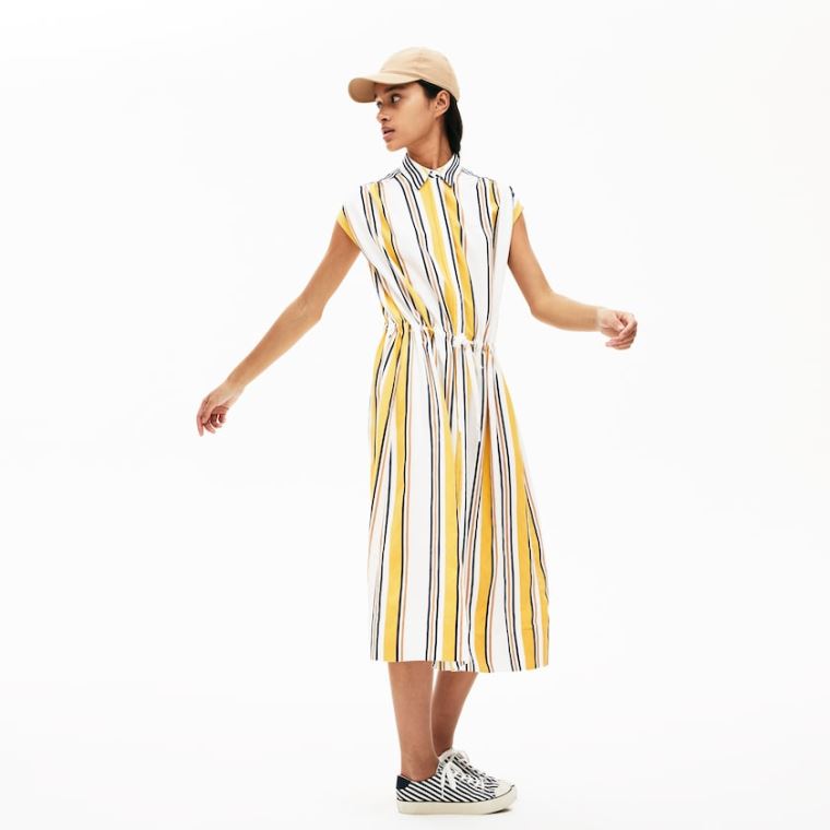 Lacoste Long Striped Shirtdress Hvite Marineblå Blå Gul Lyse Brune | VQHFCjUq