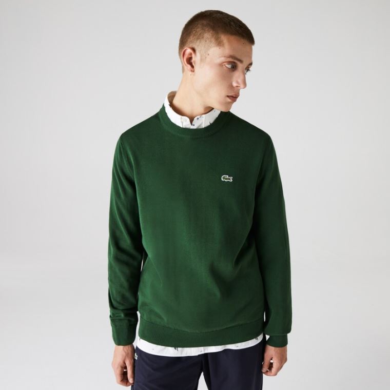 Lacoste Organic Bomull Crew Neck Genser Grønn | t8HHCbB6