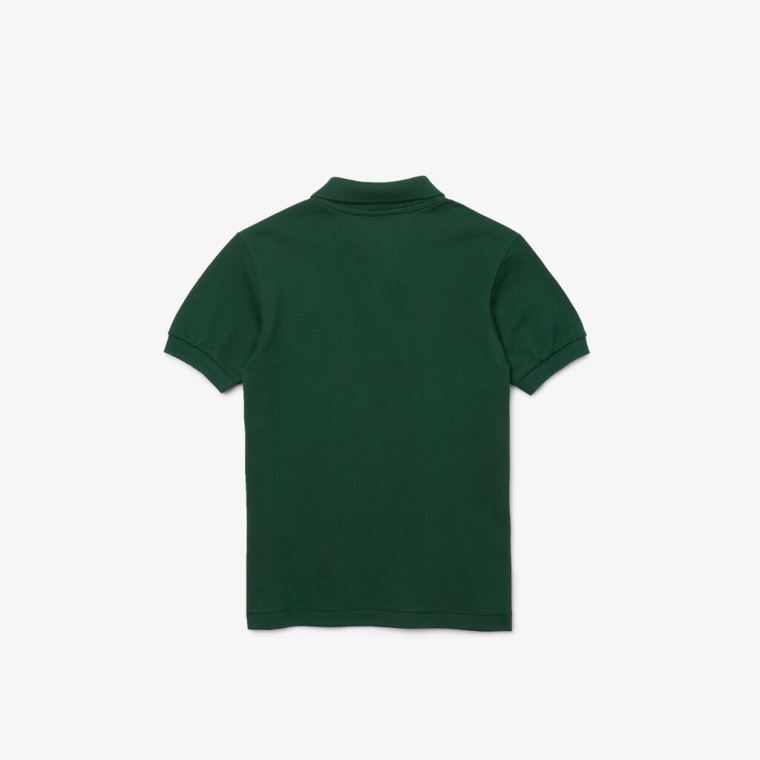 Lacoste Petit Piqué Polo Grønn | P6HC33OU