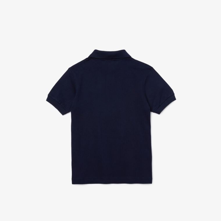 Lacoste Petit Piqué Polo Marineblå Blå | W2zjqgL5