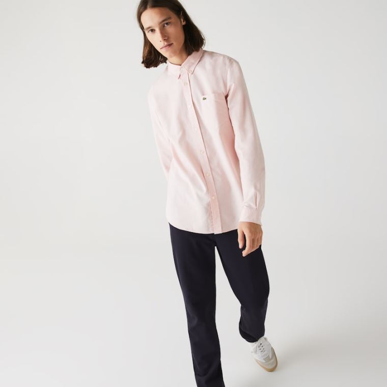 Lacoste Regular Fit Bomull Oxford Shirt Lyse Rosa | r5349Nvf