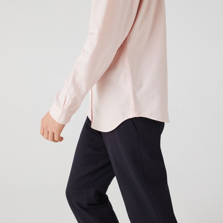 Lacoste Regular Fit Bomull Oxford Shirt Lyse Rosa | r5349Nvf