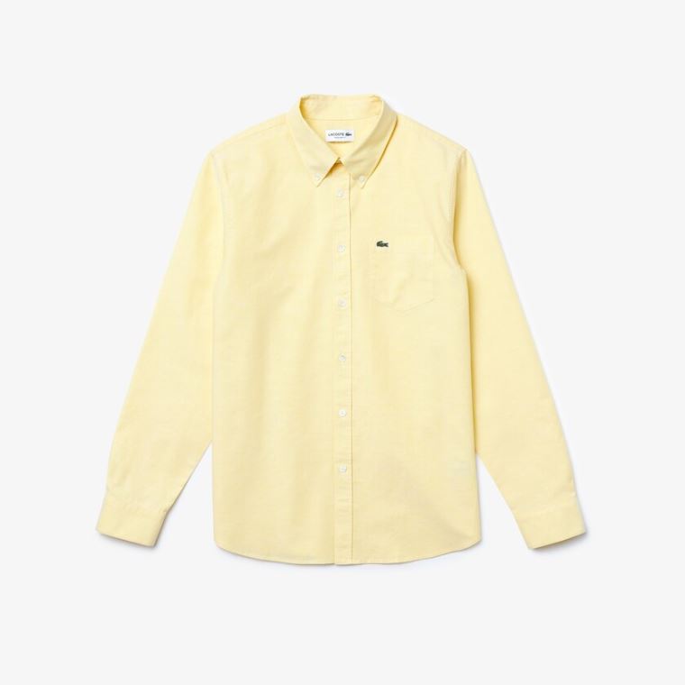 Lacoste Regular Fit Oxford Bomull Shirt Gul | M4oBcNt4