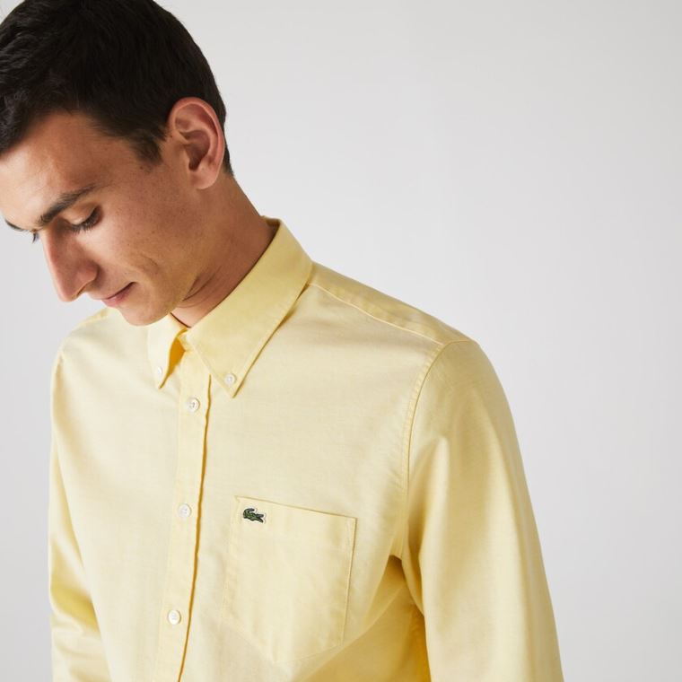 Lacoste Regular Fit Oxford Bomull Shirt Gul | M4oBcNt4