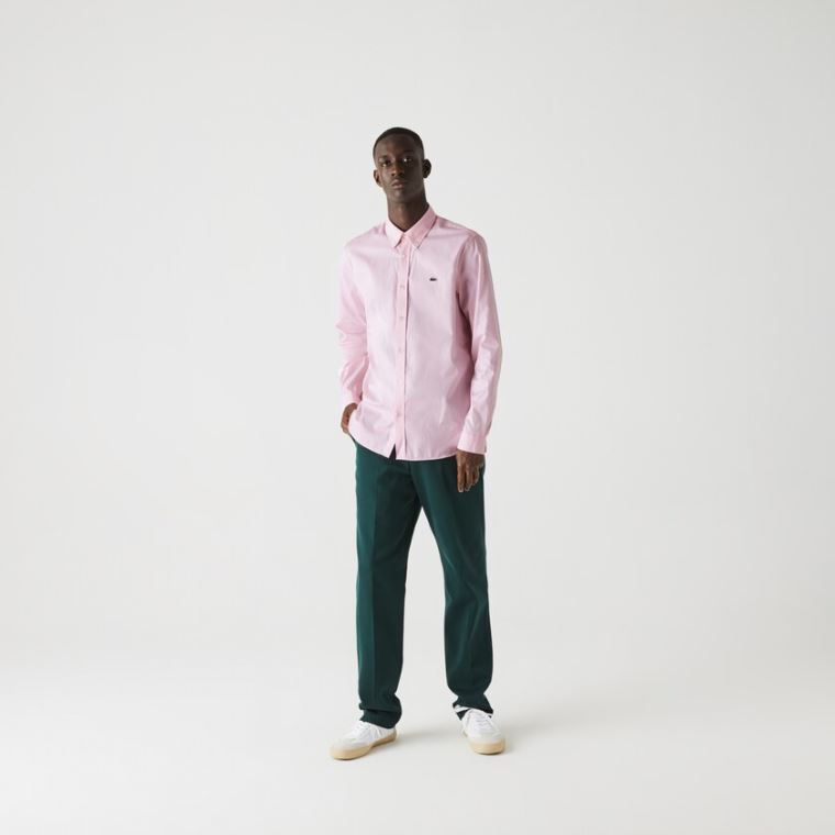 Lacoste Regular Fit Premium Bomull Shirt Lyse Rosa | xqnAOwhP