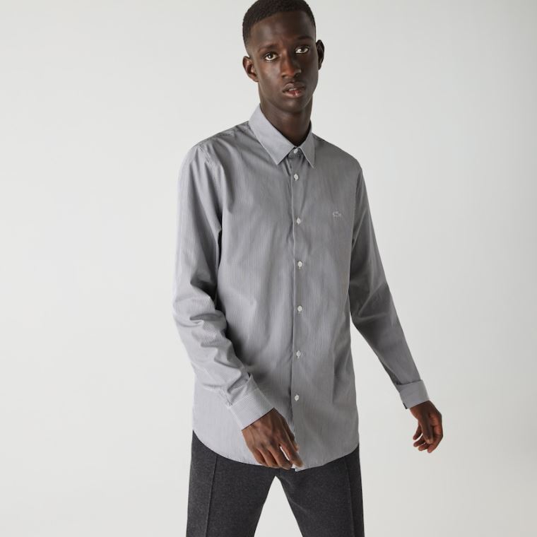 Lacoste Regular Fit Striped Bomull Poplin Shirt Hvite Svarte | lXZNAGKx