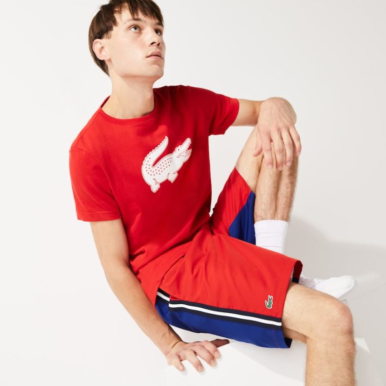 Lacoste SPORT Contrast Band Two-Tone Lette Shorts Rød Blå | MyL2IS2e