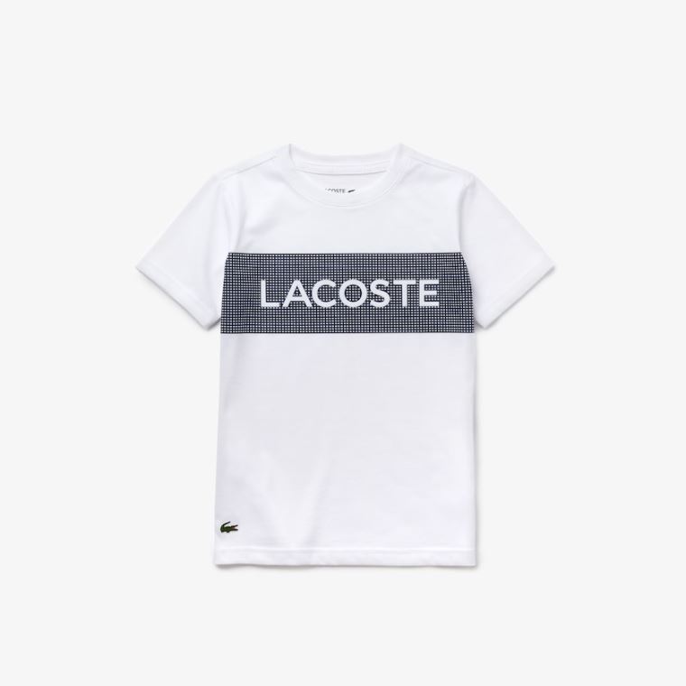 Lacoste SPORT Lettering Bomull Jersey T-shirt Hvite Marineblå Blå | bml0zAeA