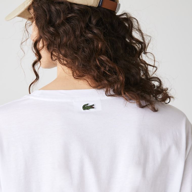 Lacoste Signature Printed Crew Neck Bomull T-shirt Hvite Marineblå Blå | qdFBTUBN