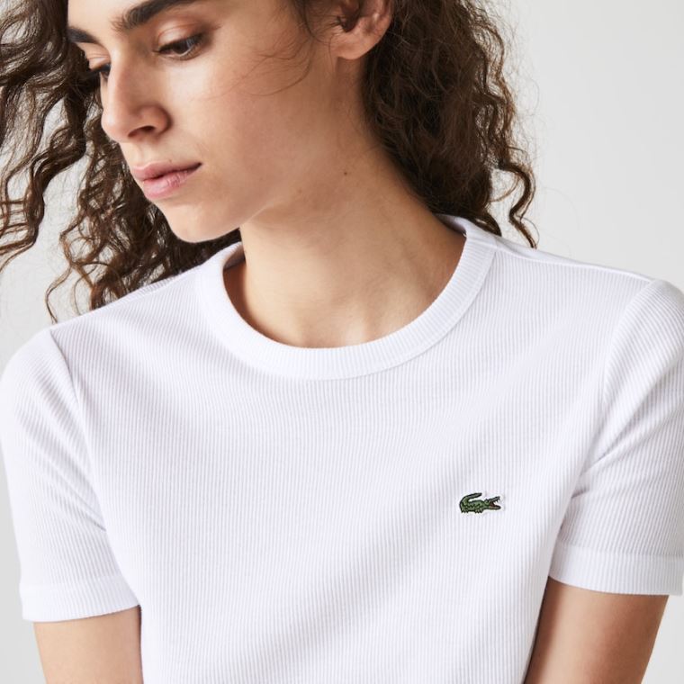 Lacoste Soft Bomull Crew Neck T-shirt Hvite | yjB4TJsR