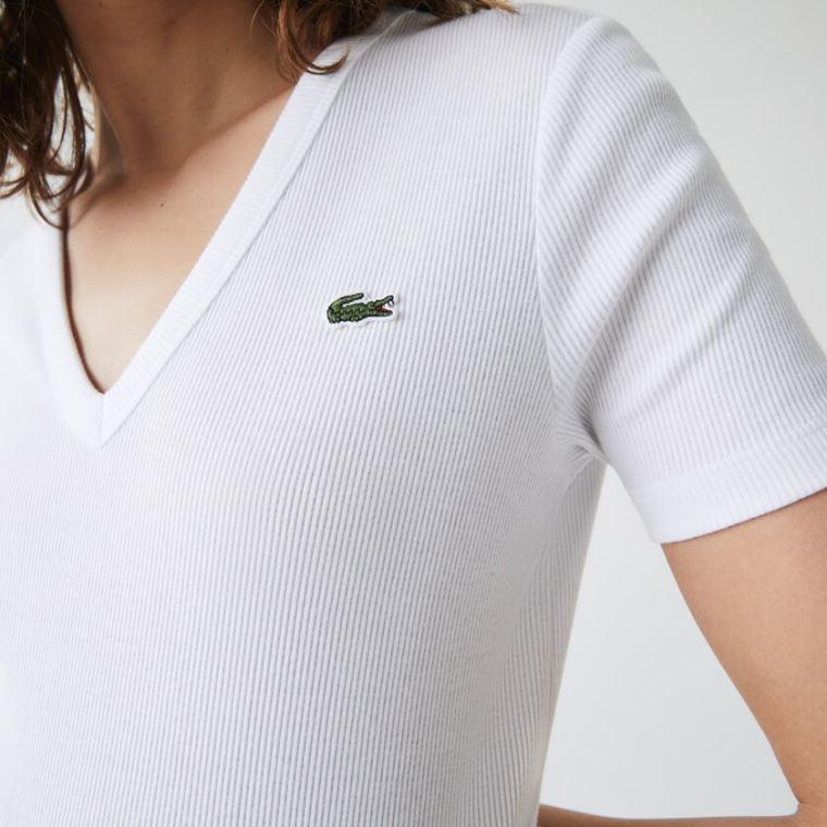 Lacoste Soft Bomull V-Neck T-shirt Hvite | TpJWEx0r