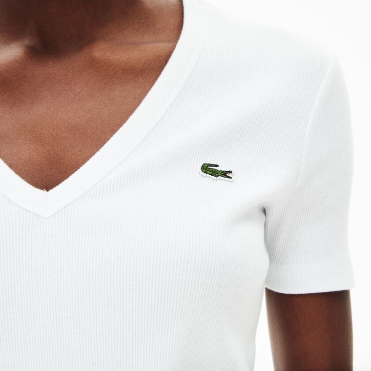 Lacoste Soft Bomull V-Neck T-shirt Hvite | TpJWEx0r