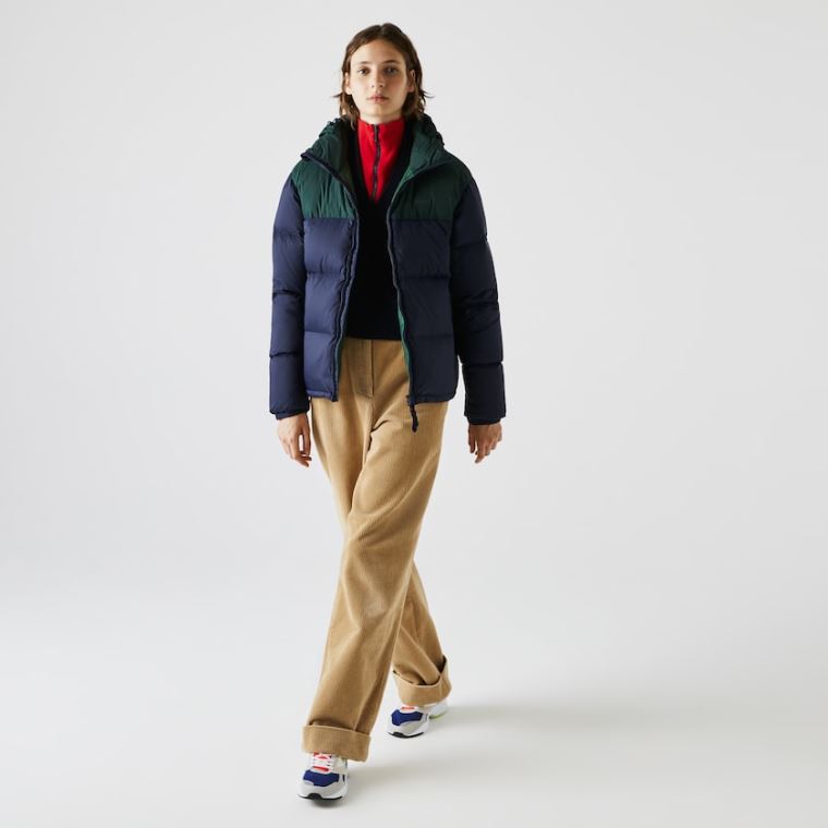 Lacoste Stand-Up Collar Concealed Hood Colourblock Kort Jacket Marineblå Blå Grønn | cyuUGYzb