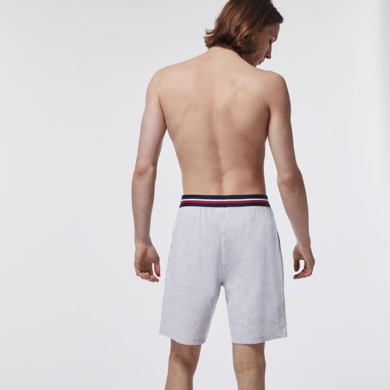 Lacoste Striped-Liv Long Bokser Briefs Grå | x6nqkEla