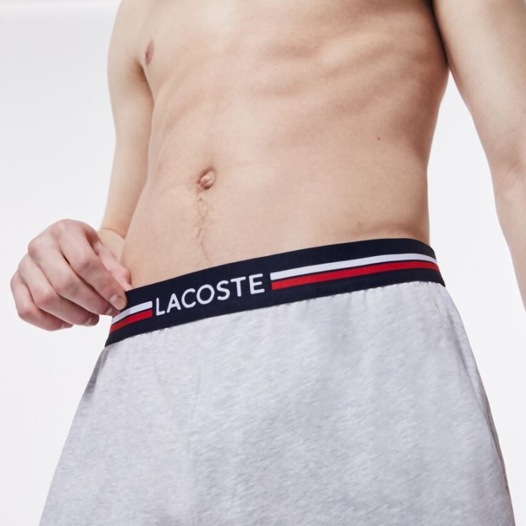 Lacoste Striped-Liv Long Bokser Briefs Grå | x6nqkEla