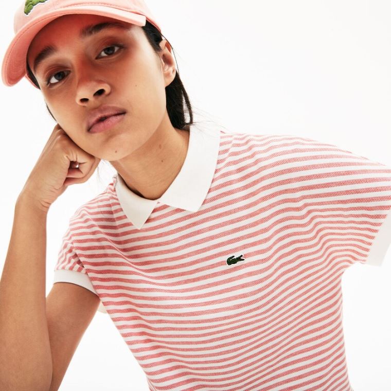 Lacoste Striped Polo Rød Hvite | bw7FicDT