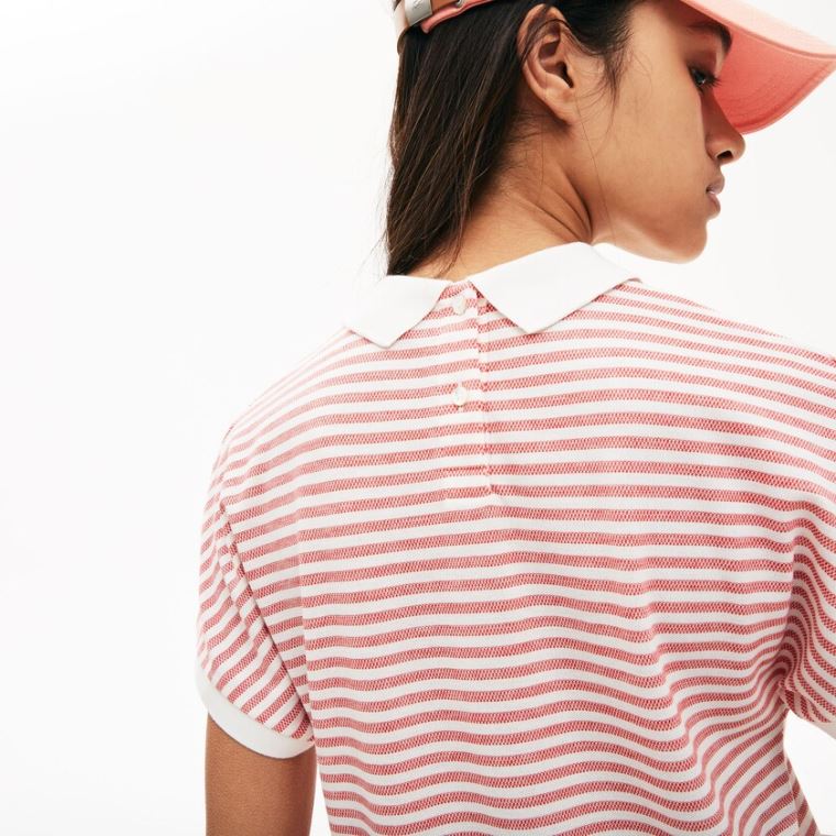 Lacoste Striped Polo Rød Hvite | bw7FicDT