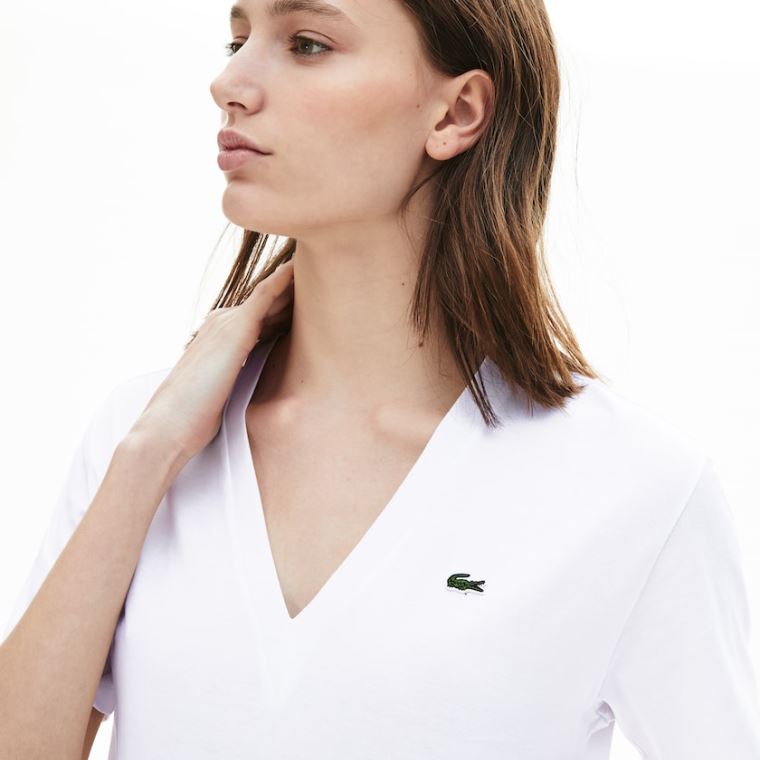 Lacoste V-Neck Premium Bomull T-shirt Hvite | EeOc5JhP