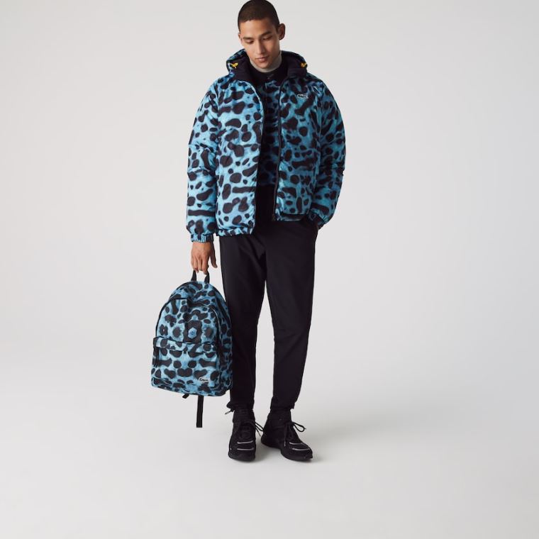 Lacoste x National Geographic Animal Print Backpack Blå Svarte | 8jhyaPv4