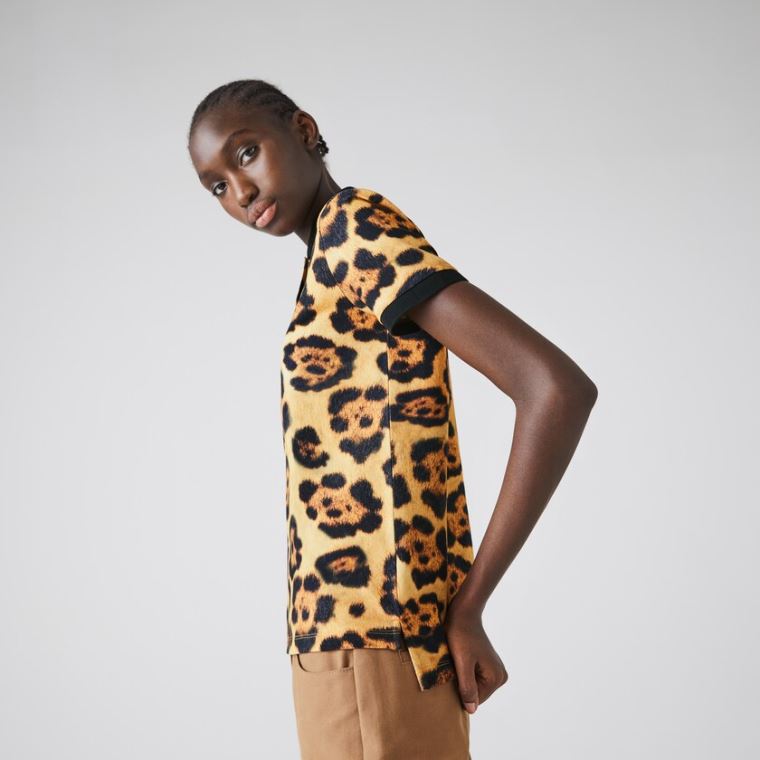 Lacoste x National Geographic Animal Print Piqué Polo Shirt Hvite | N7dcFAmF